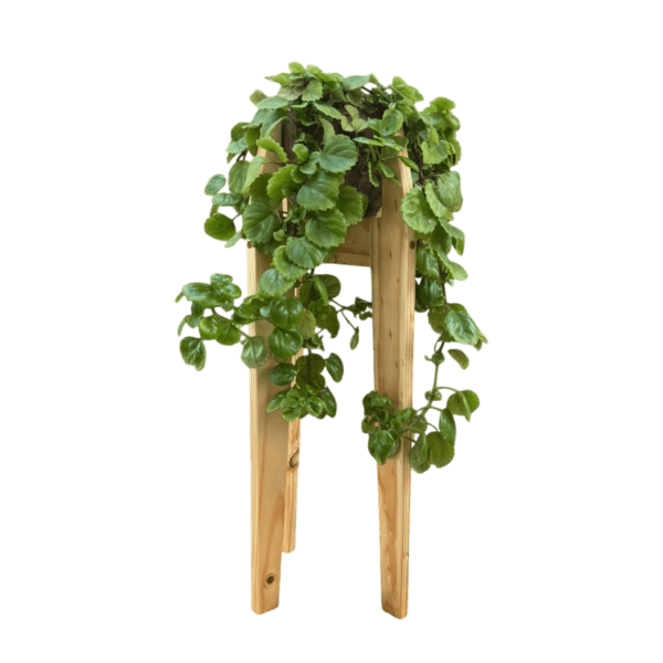 Pedestal para plantas